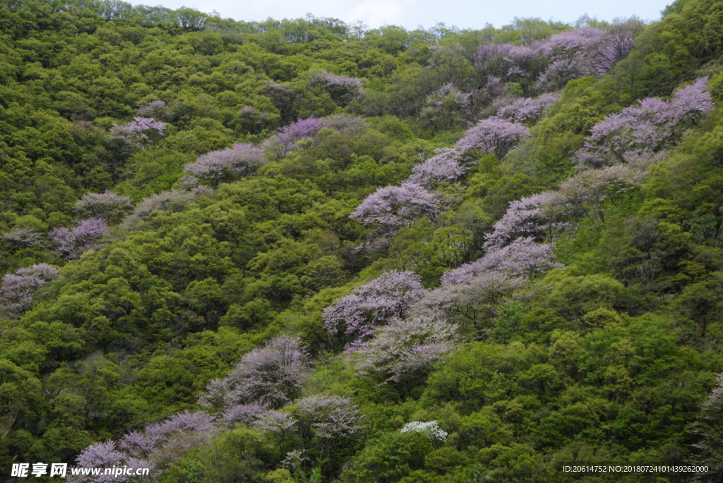 高山风光