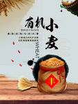 有机小麦 小麦广告 鑫王婆