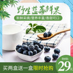蓝莓
