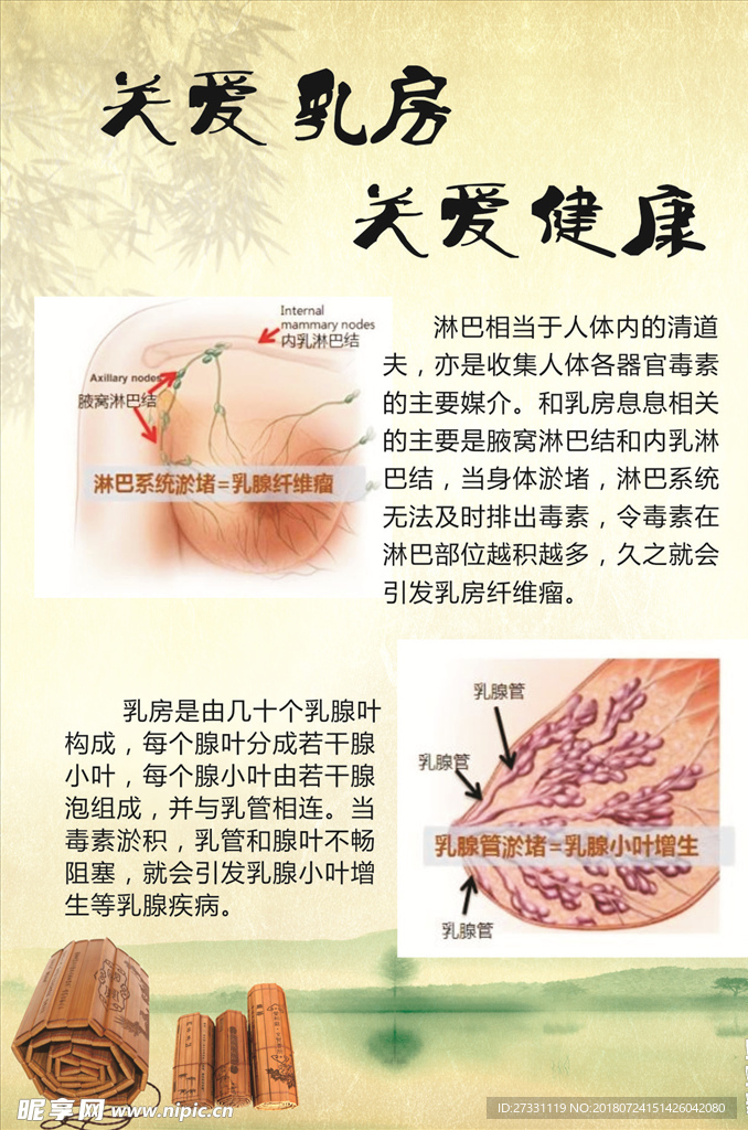 关爱乳房