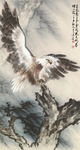 白头海雕