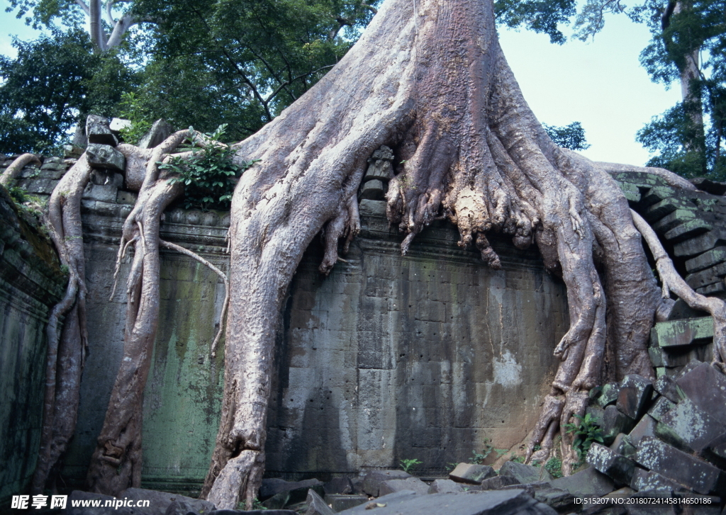 东南亚古韵 建筑 风景 房屋