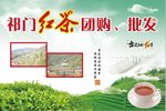 祁门红茶