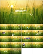 清新PPT   简约PPT