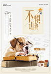 眼镜海报