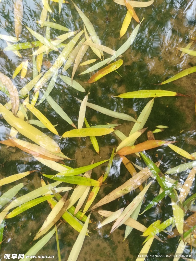 暴风雨后