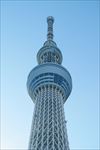 日本晴空塔
