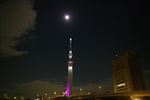 日本晴空塔