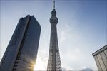 日本晴空塔