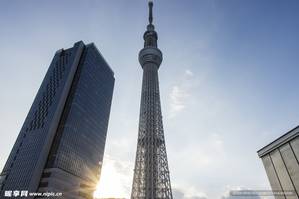 日本晴空塔