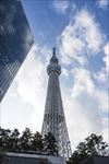 日本晴空塔