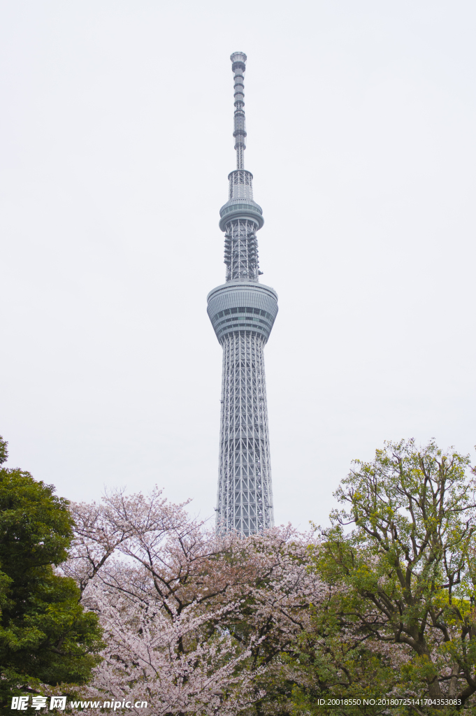 日本晴空塔