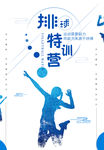 排球