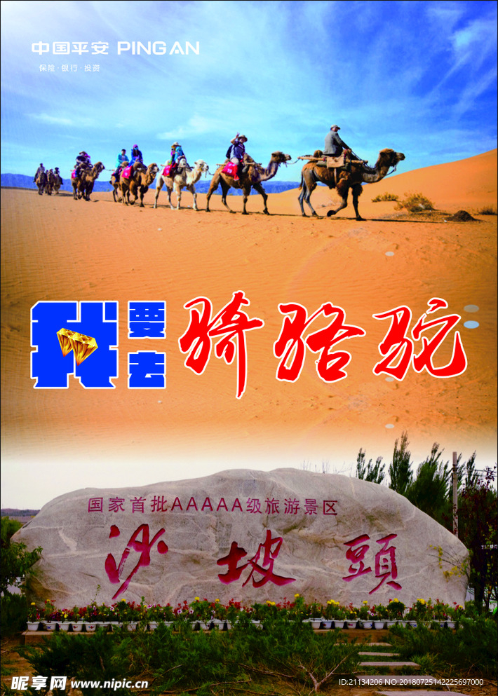 沙坡头骑骆驼海报