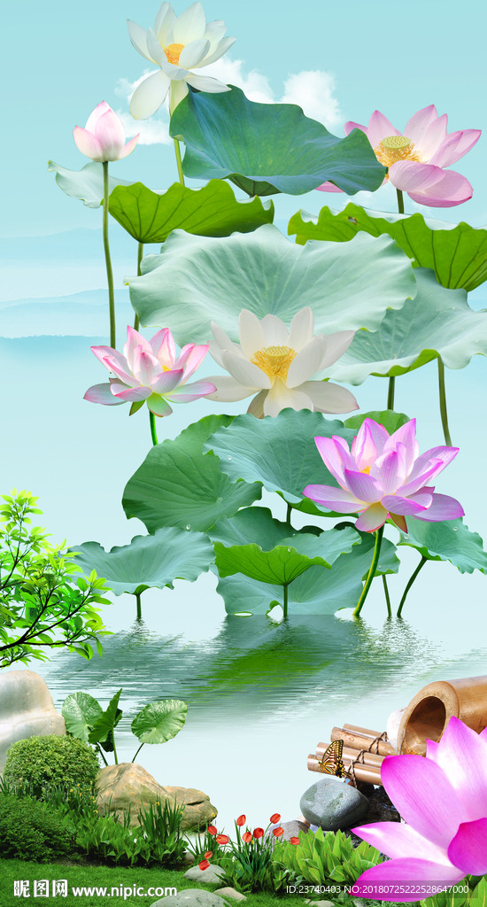荷花玄关背景