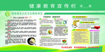 健康教育 j教育宣传栏 宣传栏