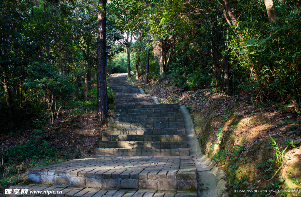 秀峰山公园