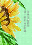向日葵