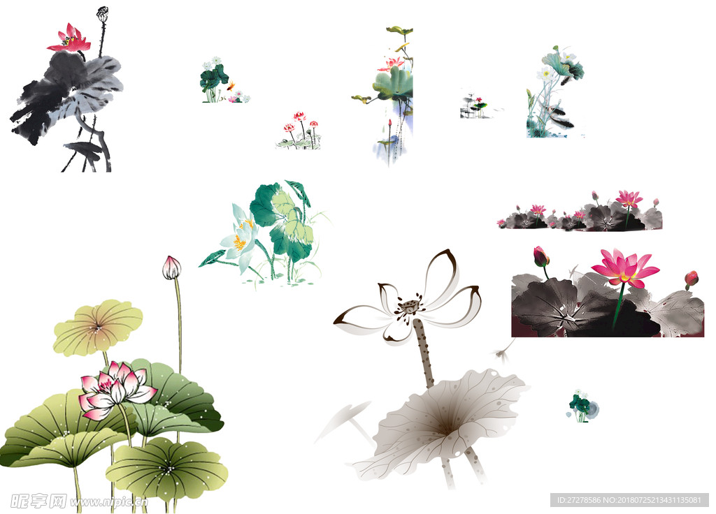 免扣荷花png