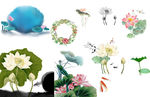 免扣荷花png