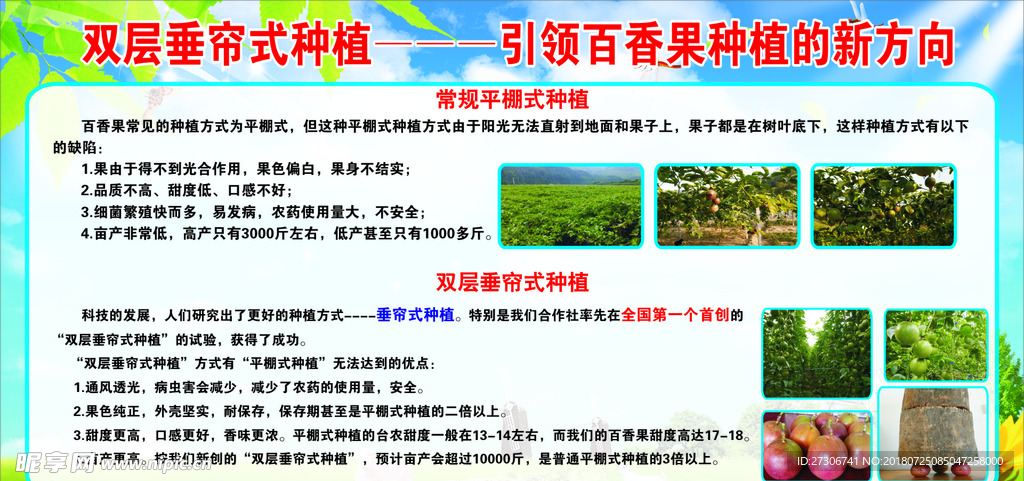 垂帘式种植