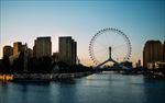 城市