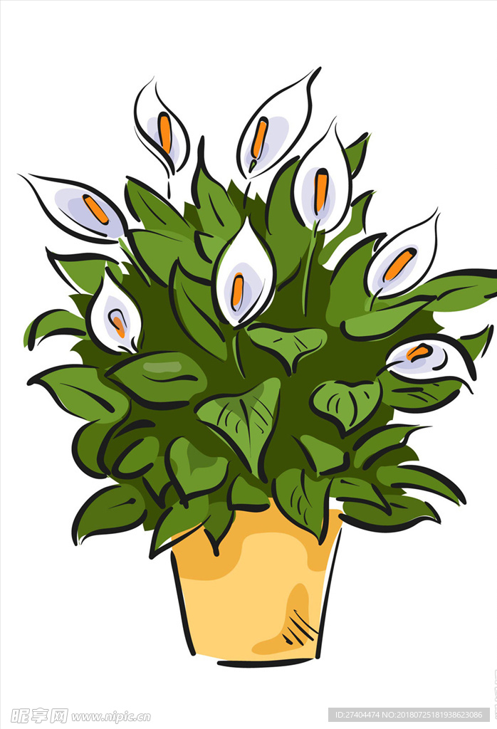 绿植图片