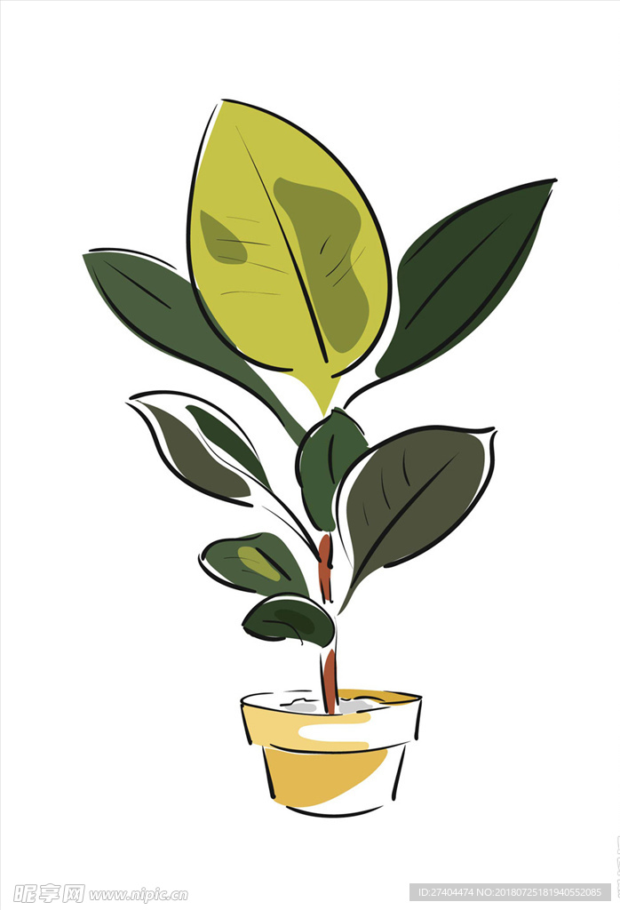 绿植图片