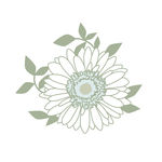 绿植图片