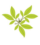 花草树木图片