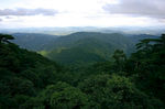 五指峰景区