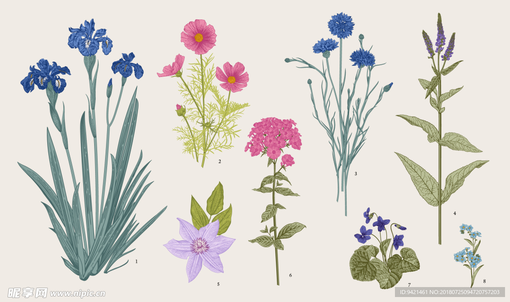 花卉小花