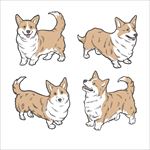 手绘柯基犬