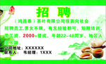 茶    招聘