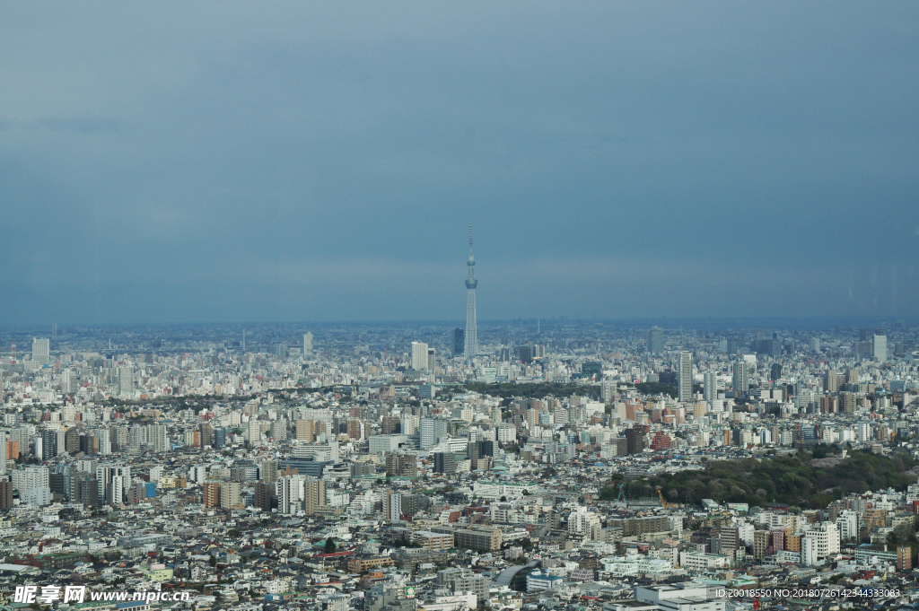 东京