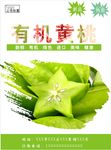 杨桃海报