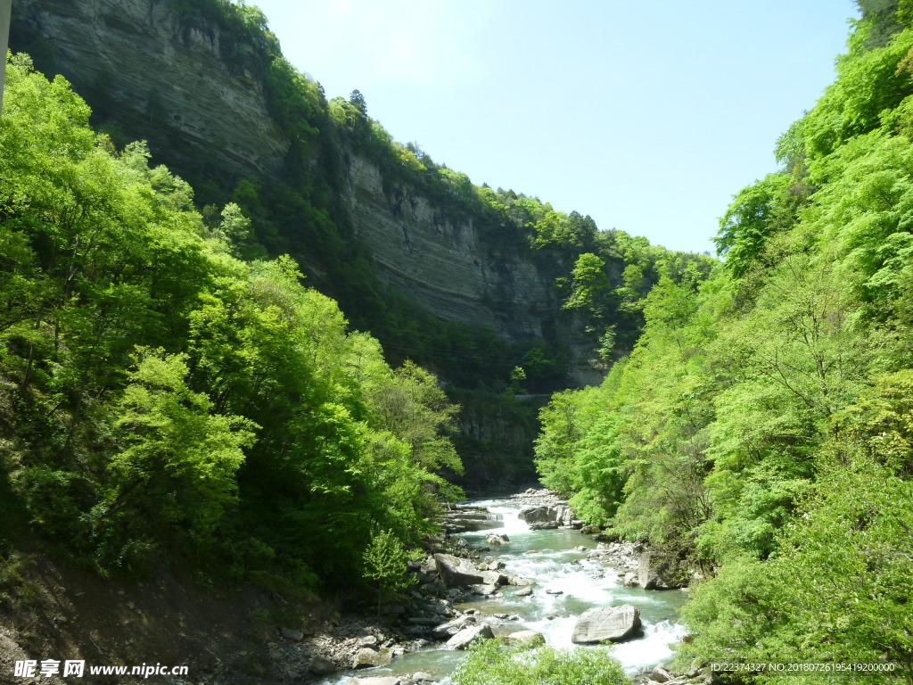 黎坪风景