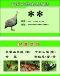 养殖名片