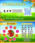 沙棘名片