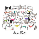 猫