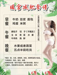 减肥食谱