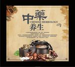 中药养生
