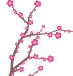 梅花图片