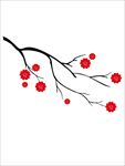 梅花图片