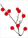 梅花图片