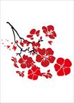 梅花图片