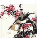 梅花图片