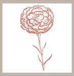矢量花图片