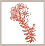 矢量花图片