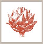 矢量花图片